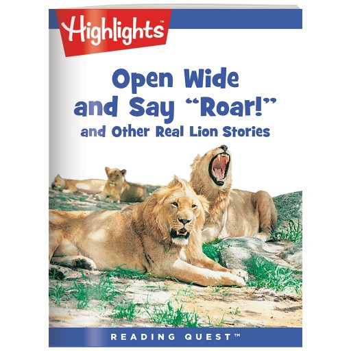 babe quest highlight page babe quest highlight page